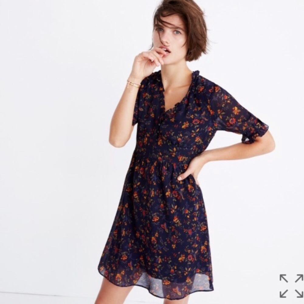 Madewell Freesia dress in climbing vine
